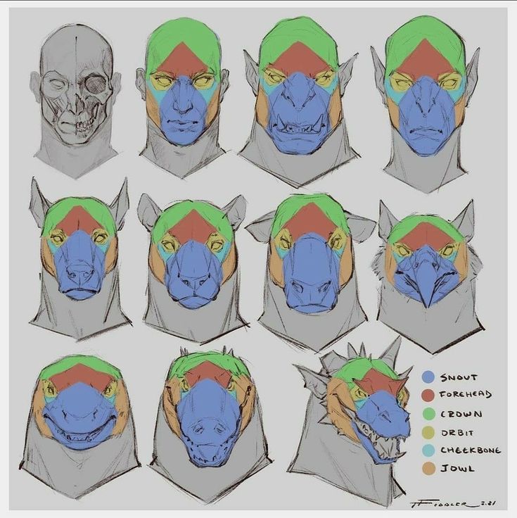 the image shows a drawing of a creature's head anatomy broken down into sections. each section is labeled with a different color. the sections are snout, forehead, crown, orbit, cheekbone, and jowl. the drawing is done in a sketch style and has a grey background. the image is titled "creature head anatomy".