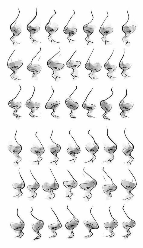 the image is a collection of pencil drawings illustrating various nose shapes and profiles from a side view. the drawings display different forms and styles, with varying degrees of shading, and can serve as a visual guide or reference for artists. the noses are arranged in a grid, demonstrating the diversity in human facial features.