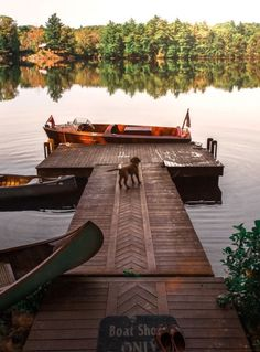 a tranquil lakeside scene featuring a wooden dock extending from the shore into calm water, reflecting the surrounding trees.  a classic wooden boat is moored at the dock, with a canoe resting nearby. a brown dog stands calmly on the dock.  the atmosphere is peaceful and serene.  a mat on the dock reads "boat shoes only".