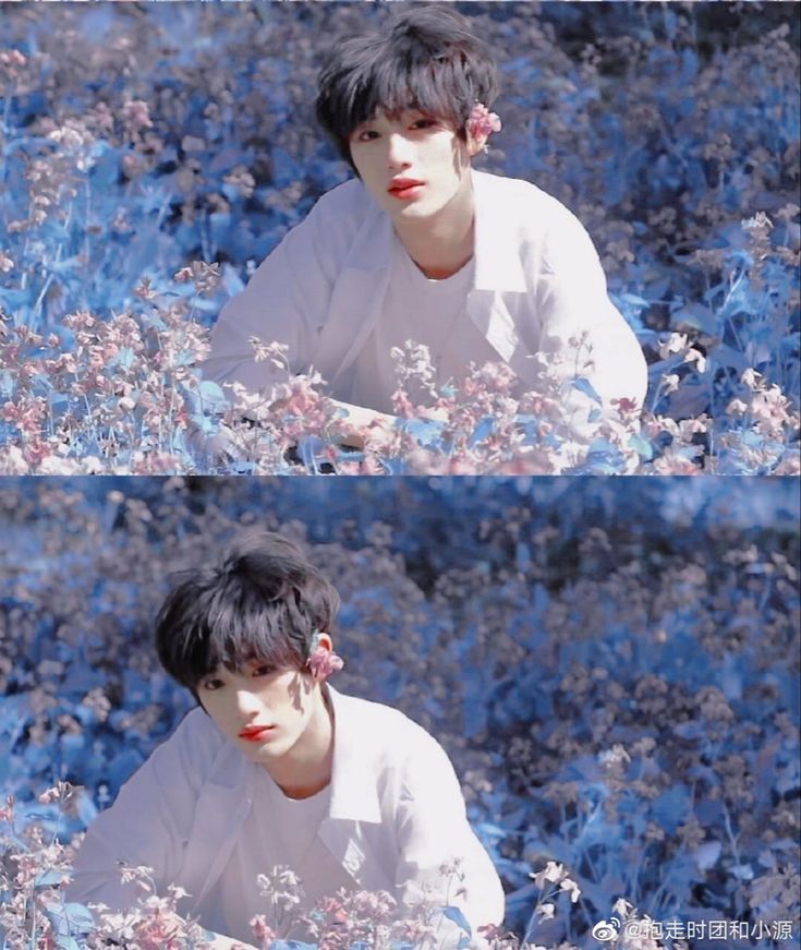 a young man with black hair styled with a middle part is captured in a dreamy outdoor setting. he's wearing a crisp white shirt and is surrounded by a field of delicate flowers bathed in a soft, ethereal light. he looks directly at the camera with a gentle, approachable expression. the overall mood is one of tranquility and youthful charm. the color palette is soft and muted, with a predominance of cool tones, further enhancing the dreamy atmosphere.