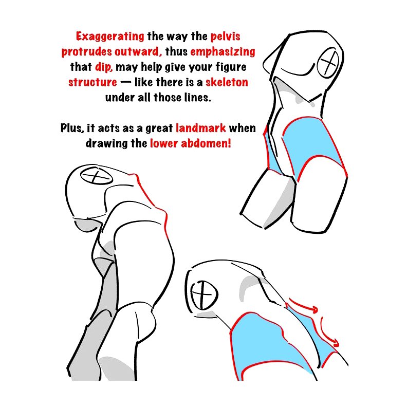 it's a tutorial image of how to draw the lower abdomen area. it emphasizes on drawing the pelvic part in a way that gives the figure more structure.