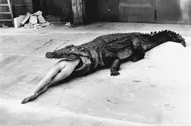 a black and white photograph depicts a nude woman lying partially inside the open jaws of a large alligator or crocodile. the setting appears to be outdoors on a paved surface. the image is surreal and unsettling, creating a sense of danger and unease.  the woman appears calm, while the large reptile is a clear juxtaposition to her relaxed pose. the overall style is vintage, suggesting the photo could be quite old.