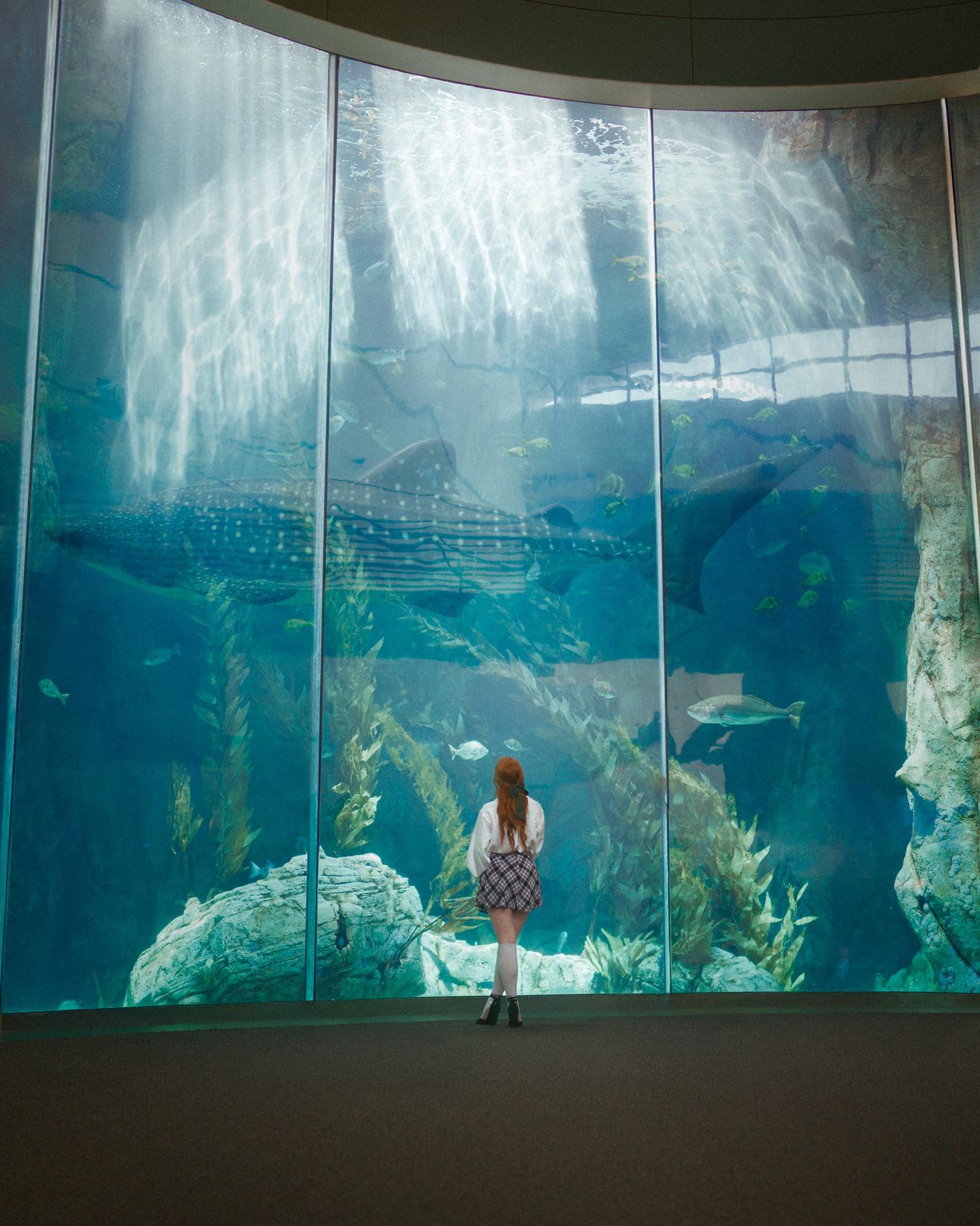 a young woman with long red hair stands  in front of a massive curved aquarium window, her back to the camera.  inside the tank, a whale shark glides through the water, its distinctive spotted pattern visible. other fish swim around it, and sunlight streams through the water from above. the woman appears captivated by the sight. the scene captures a sense of awe and wonder at the beauty of the natural world.