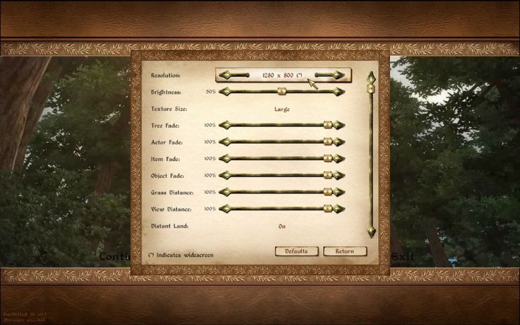 a screenshot of the graphics settings menu in a video game. the menu is showing the resolution, brightness, texture resolution, and other graphics settings that the player can adjust. the menu is surrounded by a brown wooden frame with a green foliage background on either side. the menu has options for changing the resolution, texture size, and other graphical settings. the user can select "default" or "restore" to reset the graphics settings. the screenshot appears to be from a medieval fantasy rpg.
