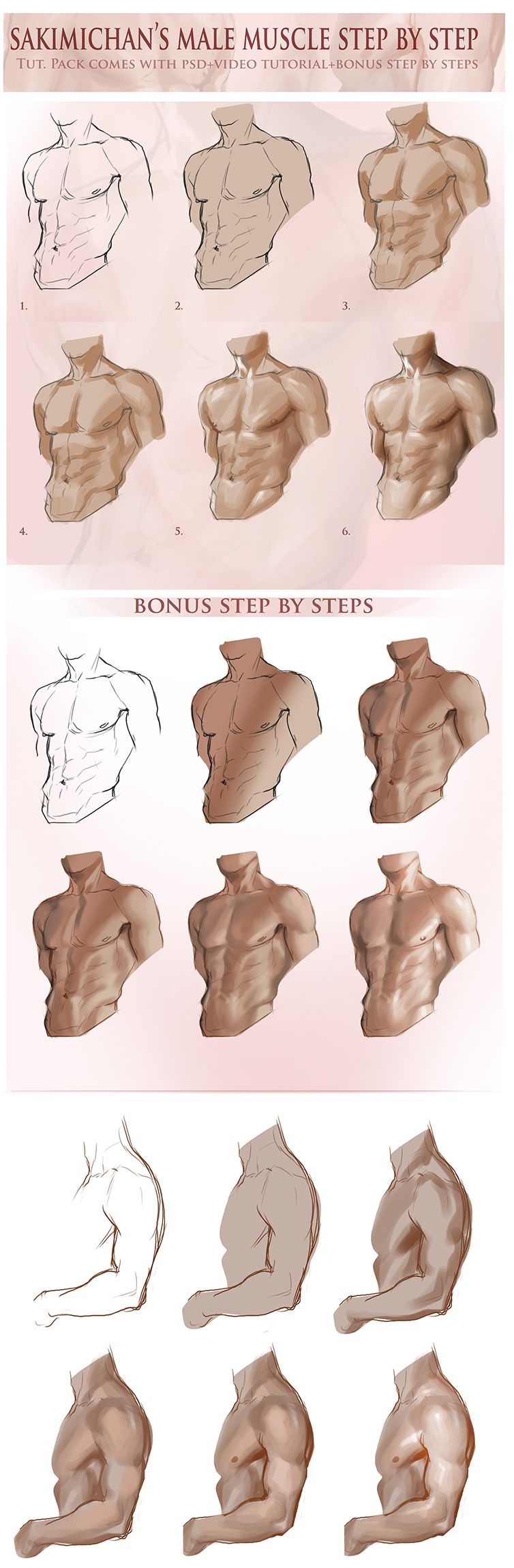 the image is a stepbystep tutorial on drawing male musculature. it features multiple sketches of a male torso and arm from a side view, gradually adding detail and shading to illustrate the process of building up a realistic anatomical drawing.