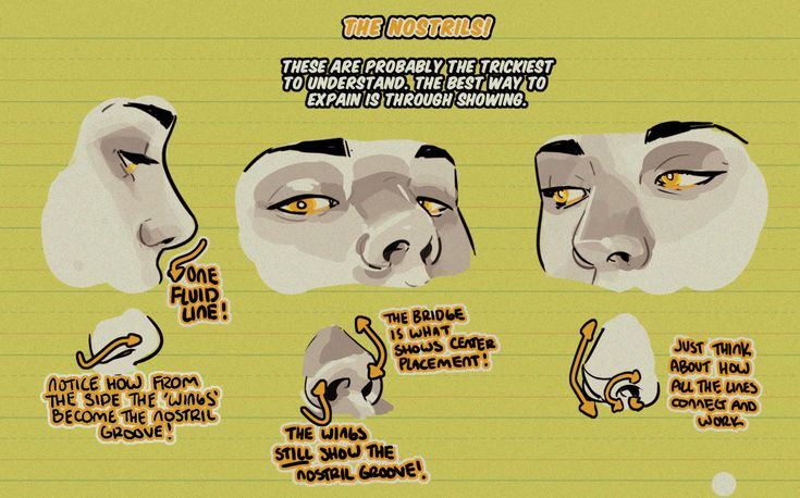 the image is a tutorial on drawing nostrils. it shows three different views of the nostril, with arrows and text to explain how to draw them. the text explains that the nostrils are the trickiest part of the face to draw and that the best way to understand them is through showing. the image shows how the sides of the nostril become the nostril groove and how the wings still show the nostril groove. it also shows how the bridge of the nose shows the placement of the nostrils.