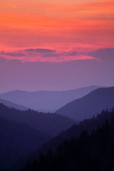 the image showcases a breathtaking panorama of rolling mountains bathed in the soft, warm glow of sunset. the sky transitions seamlessly from a vibrant orangepink hue near the horizon to a gentle purple gradient higher up. the mountain ranges themselves are rendered in shades of deep blue and violet, creating a sense of depth and tranquility. the foreground is dominated by a dark silhouette of trees, adding a touch of mystery and intrigue to the scene.