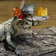 a closeup shot of an alligator with colorful butterflies on its head, perched on a log in a forested environment. the alligator's scales and texture are visible, and its sharp teeth and eyes are prominent. the butterflies, with their vibrant colors, contrast against the alligator's dark coloration. the image captures the beauty and danger of wildlife in the wild.