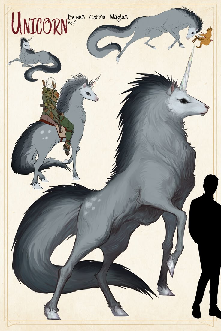 the image is an illustration of a unicorn, labeled as "equus cornu magnus" with the subtext "fey." the unicorn is depicted in multiple poses and sizes, including one with a rider and another with a silhouette of a man for size comparison. the unicorn is colored in shades of gray and black. the overall style is reminiscent of a field guide or bestiary entry.