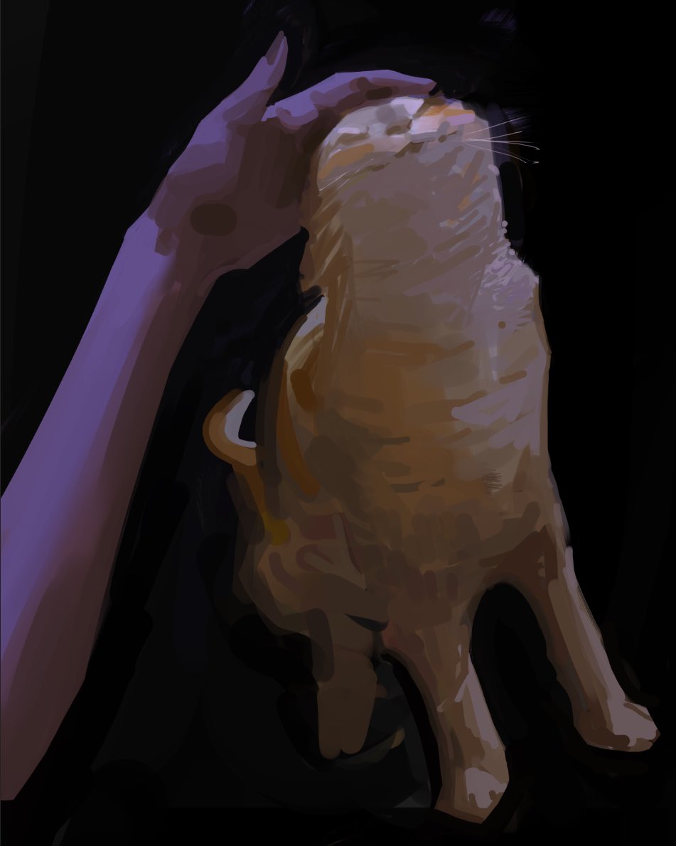 a closeup of a ginger cat being petted by a hand. the cat is lying on its back and looking up at the camera with its eyes closed. its fur is soft and fluffy, and its tail is curled up around its body. the hand is gently stroking the cat's belly, and the cat seems to be enjoying the attention.  the background is dark, but the cat and the hand are well lit.