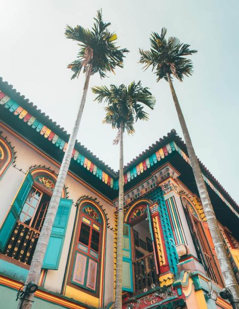 the image showcases a vividly colored shophouse, characteristic of peranakan architecture found in singapore or malaysia.  the building's facade is a riot of bright colors, intricate detailing, and ornate window frames and shutters. three tall palm trees frame the building, reaching towards a clear, bright sky. the perspective is a lowangle shot, looking up at the building, emphasizing its height and the vibrant colors against the sky. the overall impression is one of tropical beauty and cultural richness.