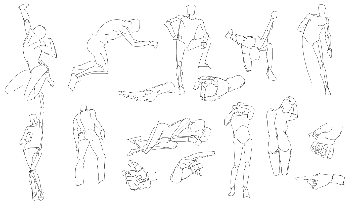 a collection of quick figure drawings and anatomy studies, showcasing various poses and perspectives of the human body. the drawings are in a simple line art style against a plain white background.