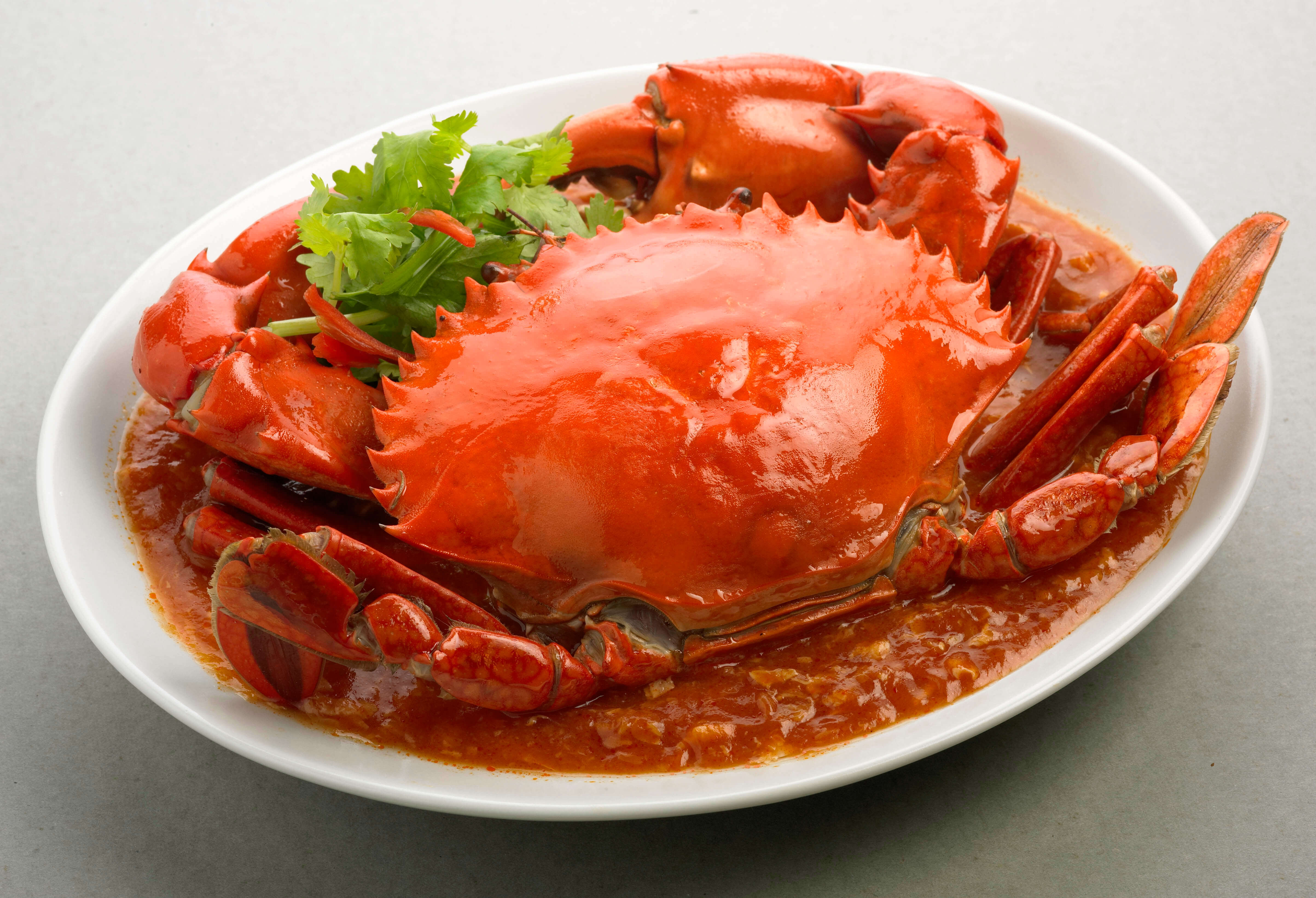 a plate of chili crab, a popular singaporean dish, featuring a whole crab cooked in a spicy and savory chili sauce. the crab is bright red and glistening with sauce, with bits of cilantro scattered around the plate. the dish is presented on a white plate against a neutral grey background.