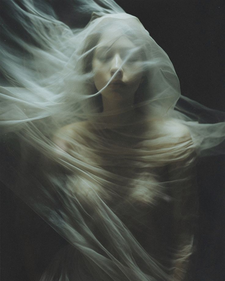the image is a stylized portrait of a woman almost entirely shrouded in a diaphanous, flowing veil or fabric. the material is sheer, allowing glimpses of her face and body, but obscuring details and creating a sense of mystery.  the lighting is subdued and moody, casting soft shadows that contribute to the overall ethereal and dreamlike atmosphere. the woman's expression is serene and unreadable. the texture and movement of the fabric are emphasized, creating a visually captivating composition. the overall aesthetic is dark, romantic, and suggestive of a delicate and enigmatic subject.