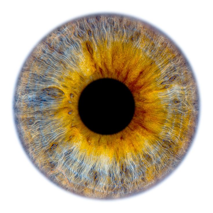 the image is a closeup macro shot of a human eye, focusing specifically on the iris and pupil. the iris displays a unique and detailed pattern with a mix of yellow and blue colors, creating a heterogeneous appearance. the pupil is a dark, circular shape in the center of the iris. the image highlights the intricate textures and vibrant colors of the eye.