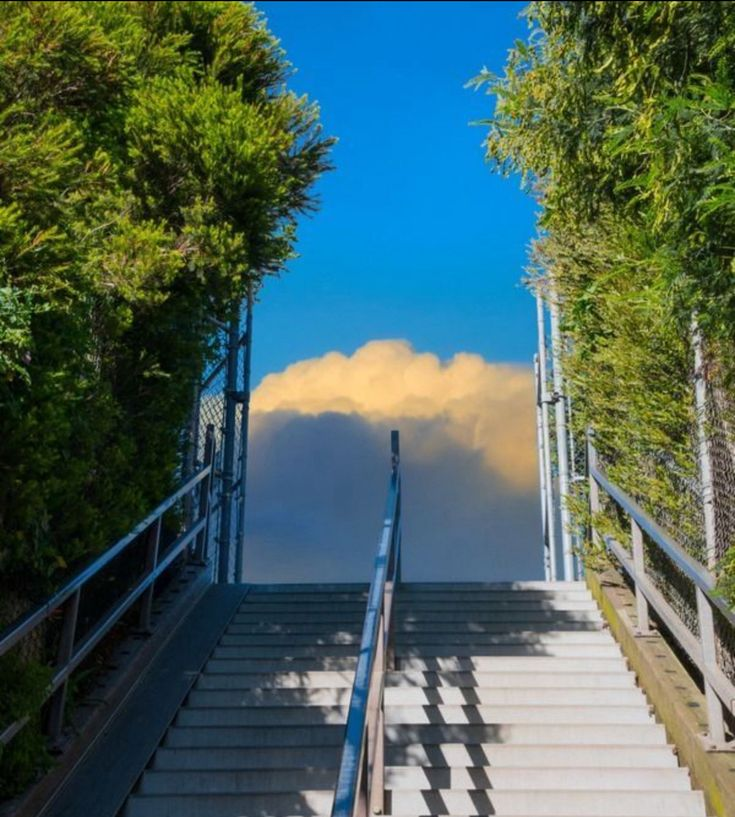 a staircase leads uphill towards a bright blue sky with a large, goldentinged cloud at the top. the staircase has two sections, one with stairs and the other with a ramp. railings run along both sides of the staircase. green trees flank the staircase, creating a natural frame. fences can be seen through the trees. the lighting suggests a sunny day.