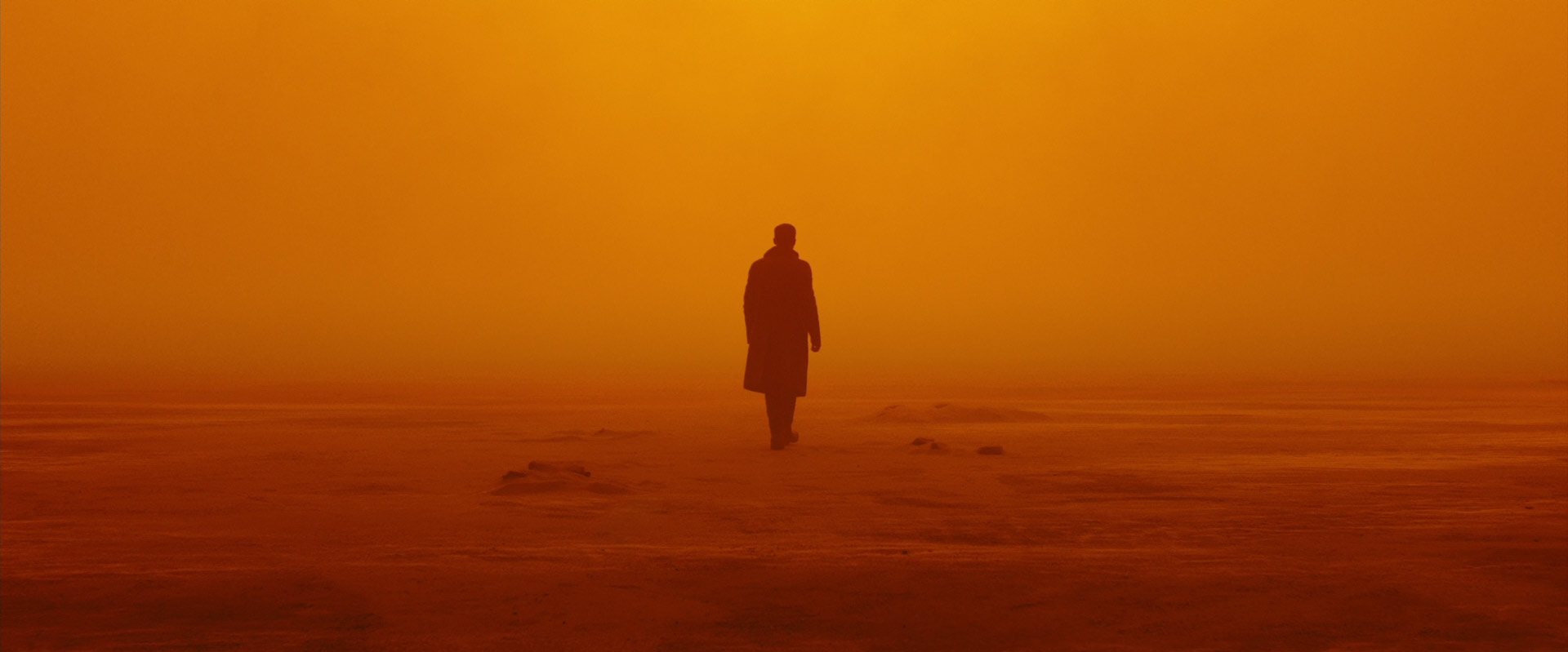 a lone figure walks away from the camera into a hazy, orangedrenched desert landscape. the scene evokes a sense of loneliness, isolation, and the unknown. the figure is silhouetted against the bright background, emphasizing their smallness in the vast and unforgiving environment.