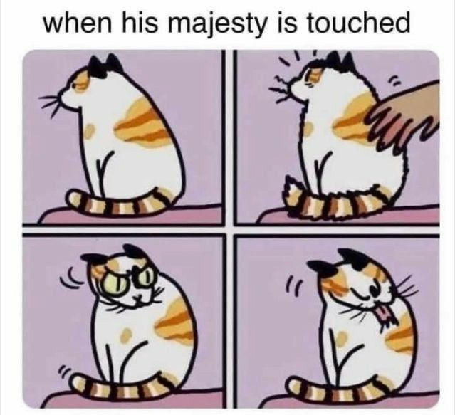 the image is a fourpanel comic meme titled "when his majesty is touched." it depicts a calico cat in various stages of displeasure as a hand reaches out to touch it. in the first panel, the cat sits serenely. in the second, a hand pets its back, causing the cat's fur to stand on end. the third panel shows the cat glaring with narrowed eyes and an angry expression. finally, in the fourth panel, the cat licks its fur with a disgusted look, indicating it is grooming itself to remove the unwanted touch. the overall tone of the meme is humorous and reflects the perceived petulance of cats when their personal space is invaded.