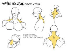 the image is a black and white drawing of a male's neck, with korean text at the top. it shows the muscles from different angles, and how they look when the head is turned or tilted. the text likely translates to something about the basics of neck muscles.