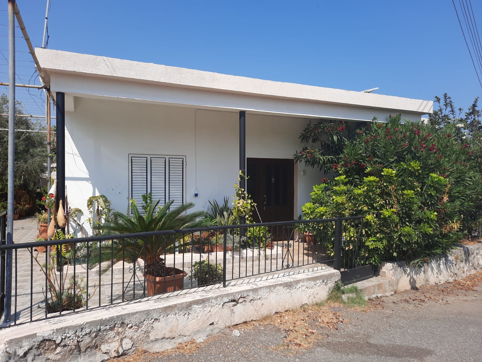 a white, onestory bungalow stands behind a black wroughtiron fence. a variety of plants, including a small palm tree in a pot, are arranged in front of the house. red flowers bloom on a shrub to the right of the entrance, which is a darkcolored door on a small porch with black support columns. a window with white shutters is on the left side of the house. the sky is clear and blue above the flat roof. the fence sits atop a low concrete wall, and a gate is located to the right, near the shrub.