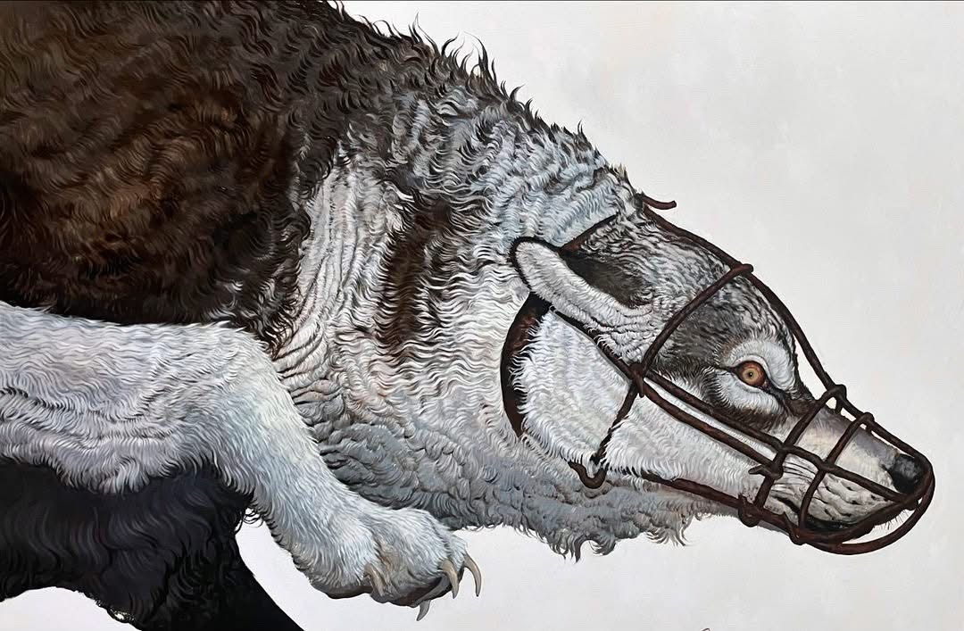 the image is a highly detailed, hyperrealistic painting of a wolf's head and shoulders. the wolf appears to be a mix of grey and brown, its fur meticulously rendered to show individual hairs and texture.  the most striking feature is a rusty wire muzzle that covers its snout and extends up around its ears, creating a sense of constraint and captivity. the wolf's expression is intense, its gaze sharp and directed forward, communicating a mixture of power and vulnerability. the painting's style is highly realistic, focusing on the animal's textures and the stark contrast between the soft fur and the harsh metal of the muzzle. the background is a simple, light offwhite which emphasizes the wolf as the focal point. the overall mood of the piece is somewhat dark and evocative, suggesting themes of confinement and the struggle for freedom.
