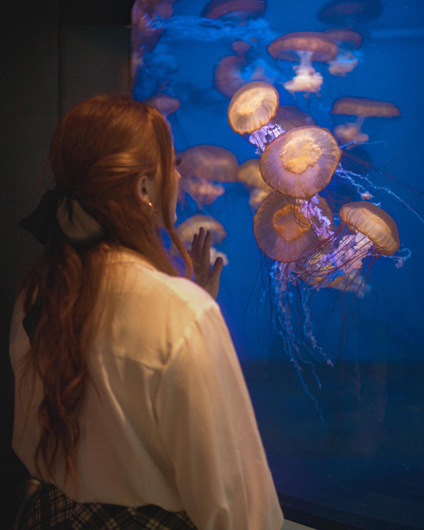 a woman with long red hair, wearing a white shirt and a black bow, stands with her back to the camera.  she is looking at a large aquarium tank filled with illuminated jellyfish of various sizes. the tank has a blue hue, and the jellyfish emit a soft, ethereal glow. the woman's pose suggests she is captivated by the sight.