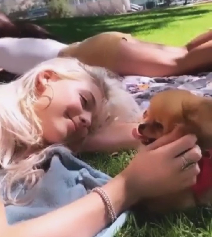 a woman with blonde hair is lying on a blanket in the grass, petting a small brown dog. other people are sunbathing in the background.