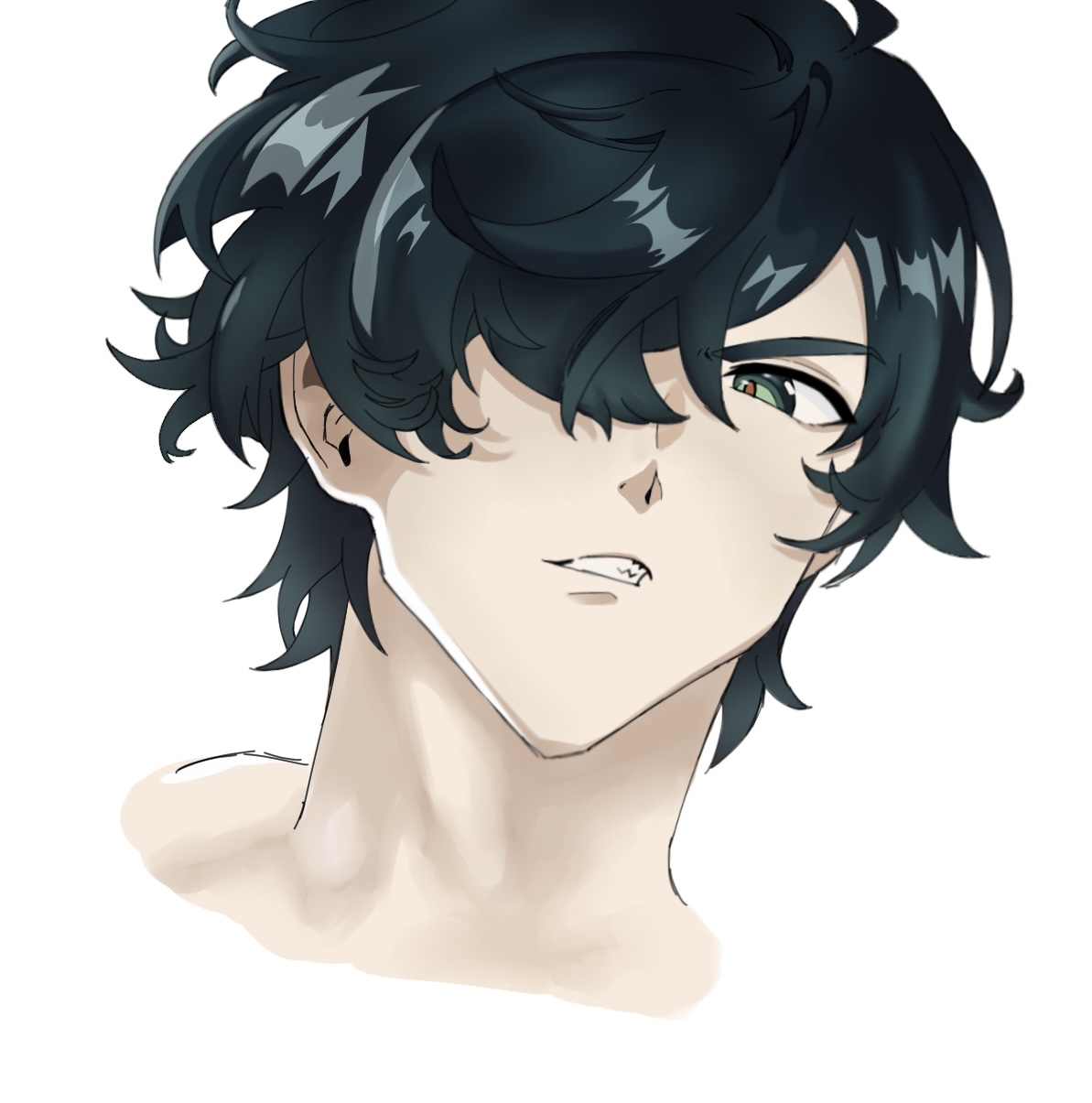 the image is a digital drawing of a young animestyle male character. he has dark teal, shoulderlength hair that partially obscures one eye, revealing a green eye on the other side. his expression is a smirk or a slight sneer, and he has pale skin. the style is clean and stylized, typical of anime and manga artwork. the image is a closeup portrait, showing the character from the chest up, with his head turned slightly to the side.  the background is plain white, emphasizing the character.