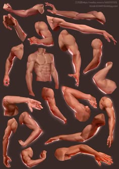 this image is a collection of anatomical drawings of male arms and torsos. each drawing is a different pose and showcases the muscles of the body. the drawings are done in a realistic style, and the details are very precise. the drawings are a great resource for artists who are interested in learning more about the human body.