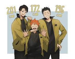 the image is fanart depicting three popular characters from the anime and manga series haikyuu!!—hinata shoyo, kageyama tobio, and tsukishima kei— in a chibi style.  they are drawn in a playful pose, with hinata in the center and kageyama and tsukishima flanking him. they are wearing matching mustardyellow jackets over black clothing.  numbers representing their heights in centimeters (201, 172, and 196) are displayed above each character's head. the overall tone is lighthearted and emphasizes the trio's camaraderie.  the background is a simple light blue.