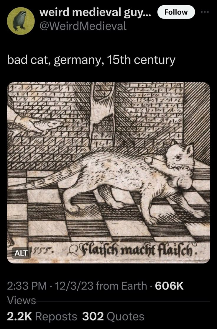 a screenshot of a twitter post by @weirdmedieval featuring a 15thcentury german woodcut of a cat carrying a bone (or possibly another animal) in its mouth. the tweet includes the text "bad cat, germany, 15th century." below the image is the phrase "flatsch macht flaisch." the tweet also shows the timestamp, view count, and engagement metrics.