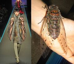 a fashion model wearing a unique outfit with a fur collar and a structured design walks down a runway. on the right side of the image is a closeup of a cicada insect sitting on someone's hand. the contrast between the fashion and the insect creates an interesting juxtaposition.