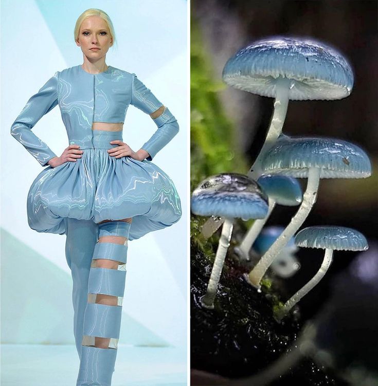 the image is a split image showing a model wearing a blue dress inspired by mushrooms. the left side of the image shows the model wearing a puffy blue dress with cutouts on the legs and a skirt that resembles the cap of a mushroom. the right side of the image shows a group of blue mushrooms.  the dress is a unique and creative take on nature and design, as it directly draws inspiration from the appearance of mushrooms.
