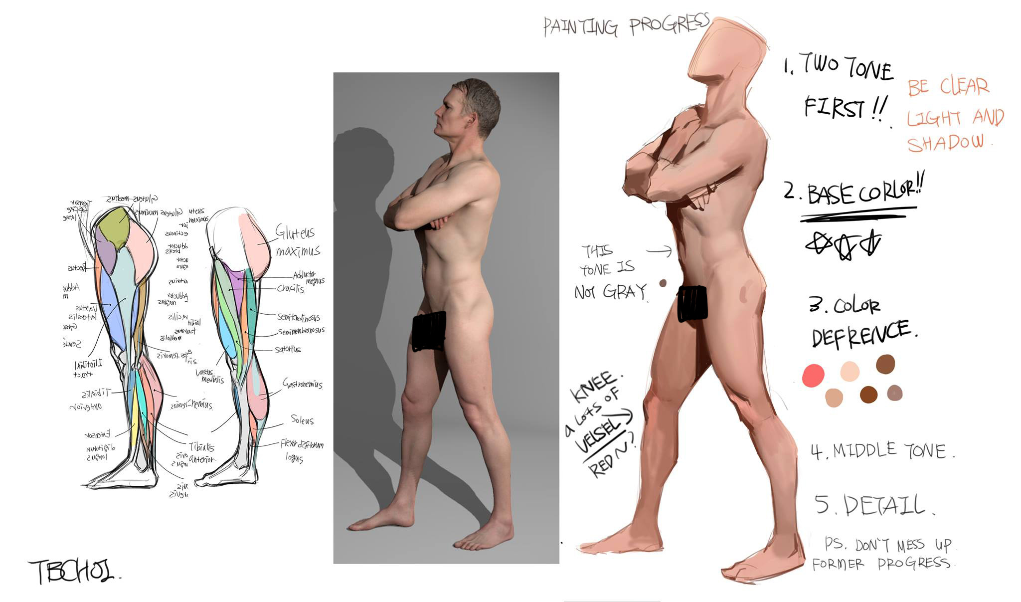 he image shows a stepbystep guide to digital painting a male figure. on the left, a detailed anatomical drawing of the leg muscles is displayed. in the center, a 3d rendered male figure in a side profile pose is presented with its shadow. on the right side, a digital painting of the same figure is depicted, with annotations explaining the stages of the painting process. these stages include establishing a twotone base, applying base color, defining color differences, adding midtones, and finally, adding details.  the tutorial emphasizes the importance of clear light and shadow distinction in the early stages of the painting process.  the artist notes that the initial tone shouldn't be gray and highlights the importance of red tones in the knees to capture the appearance of blood vessels.  the annotations are handwritten, adding a personal touch to the instructional guide.