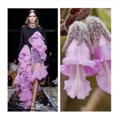 the image shows a woman wearing a pink ruffled dress and floral design. the background features a pink floral design. the model looks stunning in her dress, and the colors and textures of the image are beautiful. the overall aesthetic is one of elegance and femininity.