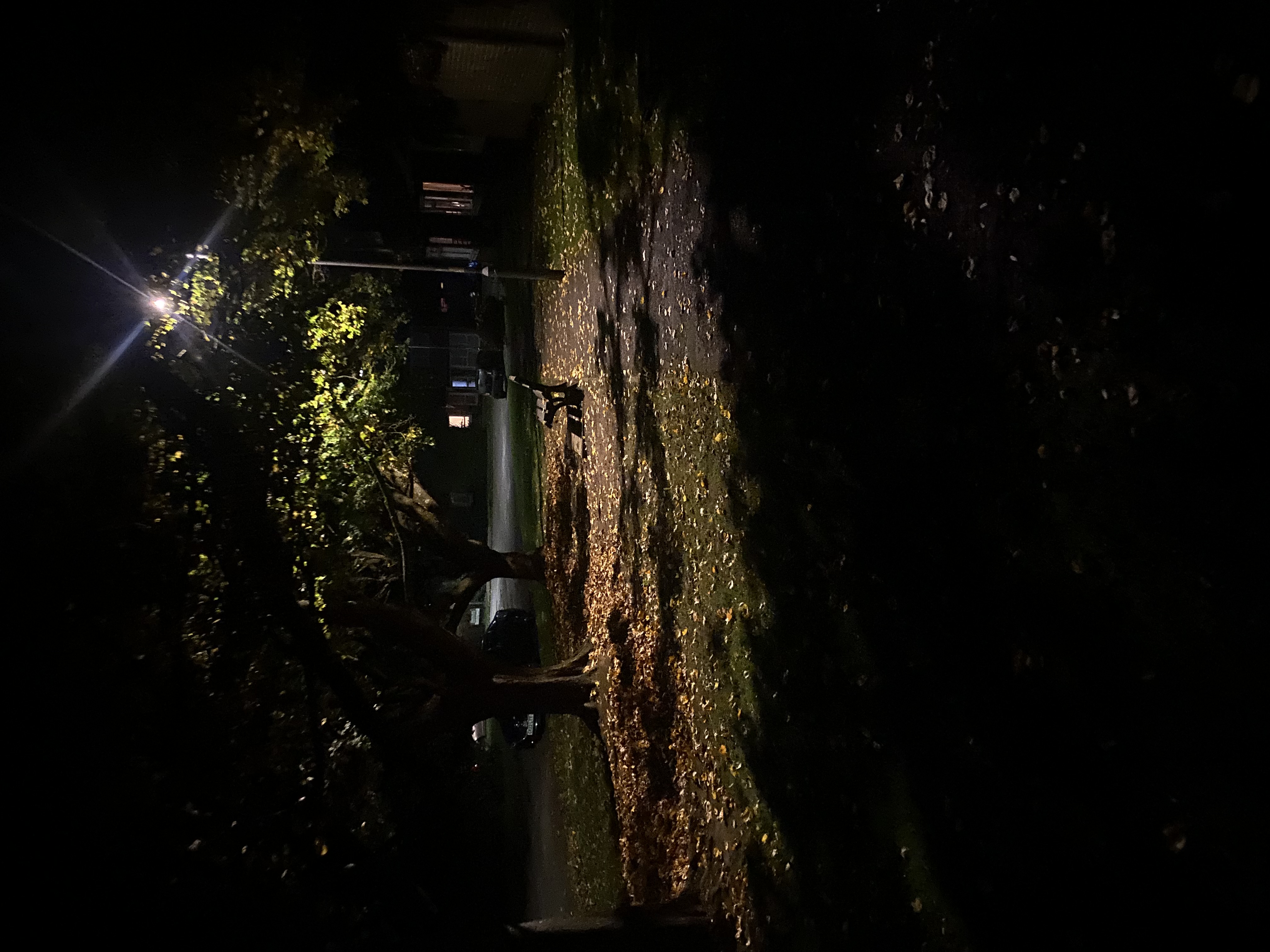 the image depicts a park at night, illuminated by a single streetlight.  the light casts shadows from trees and leaves scattered on the ground.  a park bench sits in the middle of the path, which is lined with fallen autumn leaves. the overall atmosphere is dark, quiet, and peaceful, conveying a sense of serenity and solitude.  the scene appears to be in a residential area.