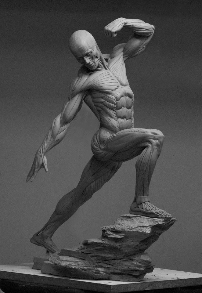 the image is a black and white photograph of an anatomical sculpture of a man. the sculpture is highly detailed and accurately portrays the muscular system of the human body. the figure is posed dynamically, with one leg raised and one arm outstretched, standing on a rock formation. the lighting is dramatic, emphasizing the contours of the muscles and creating deep shadows.