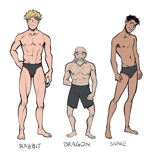 the image shows three male figures drawn in an animeinfluenced style, each representing a different animalistic archetype.  they are labeled as "rabbit," "dragon," and "snake."  the rabbit is young and muscular, tall and lean, while the dragon is an older man with a more wiry physique. the snake is a young man with a more slender build.  all are depicted shirtless, wearing simple shorts or briefs, showcasing differing body types and ages.  the style suggests concept art for character design, possibly for a comic book, animation, or video game.