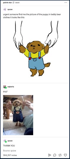 this image is a screenshot of a tumblr post. the post is about finding a picture of a puppy wearing teddy bear clothes. the original poster drew a picture of the puppy they are looking for. the post has a comment from another user with a photo of a puppy wearing similar clothes. the post ends with a reply from the original poster thanking the commenter.