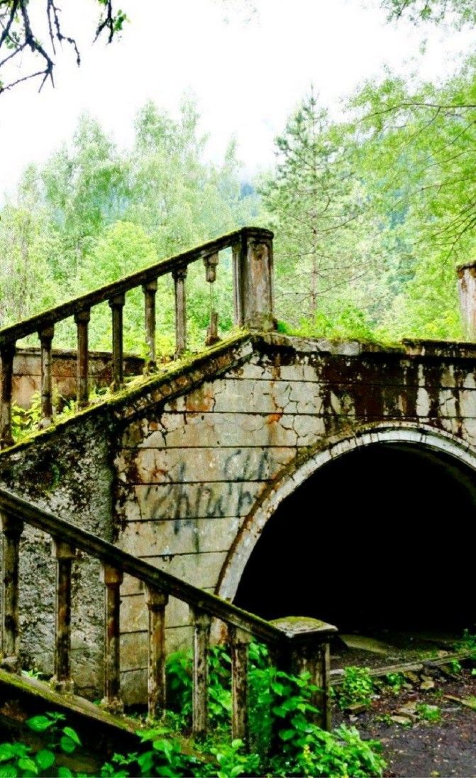 the image shows an old, abandoned stone bridge that is covered in moss and overgrown with plants. the bridge has an archway that leads to a dark tunnel. the bridge is surrounded by trees and forest.