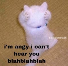 a white fluffy cat with its paws covering its ears and a caption that says "i'm angy i can't hear you blahblahblah". the cat is cute and funny, and the caption makes it even funnier. the cat looks like it's annoyed or mad, which makes it even more relatable.