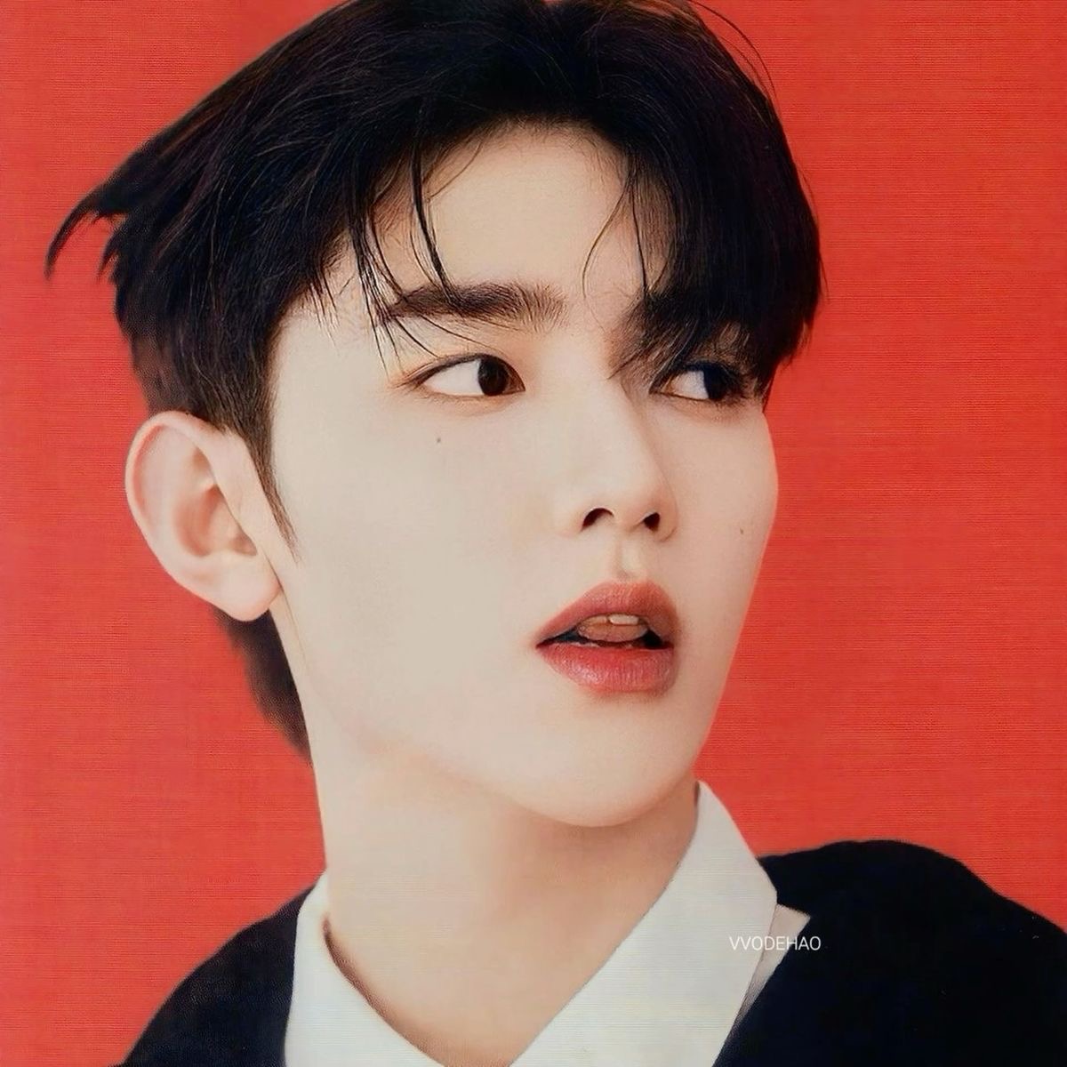 this is a closeup portrait of a young asian man with styled black hair and a fair complexion set against a vibrant red backdrop. he's wearing a white collared shirt partially visible under a black jacket. his gaze is directed slightly away from the camera, creating a sense of intrigue. the lighting is soft and flattering, highlighting his features and creating a subtle glow.
