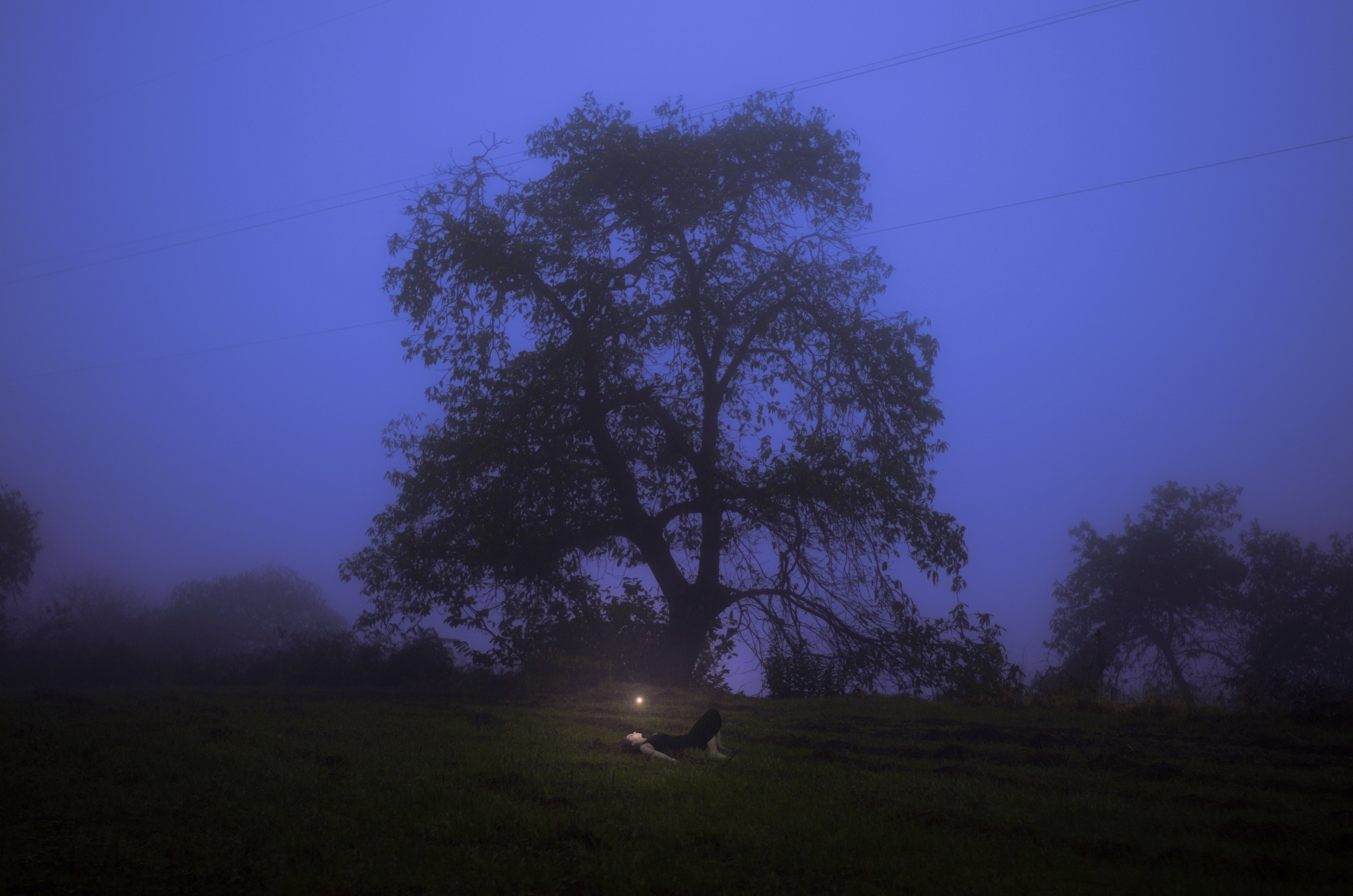 a dark and eerie landscape scene at night features a large, silhouetted tree in the center, surrounded by fog. a woman is lying down on the grassy field beneath the tree, with a light source illuminating her. power lines stretch across the upper portion of the image. the overall atmosphere is mysterious and unsettling.