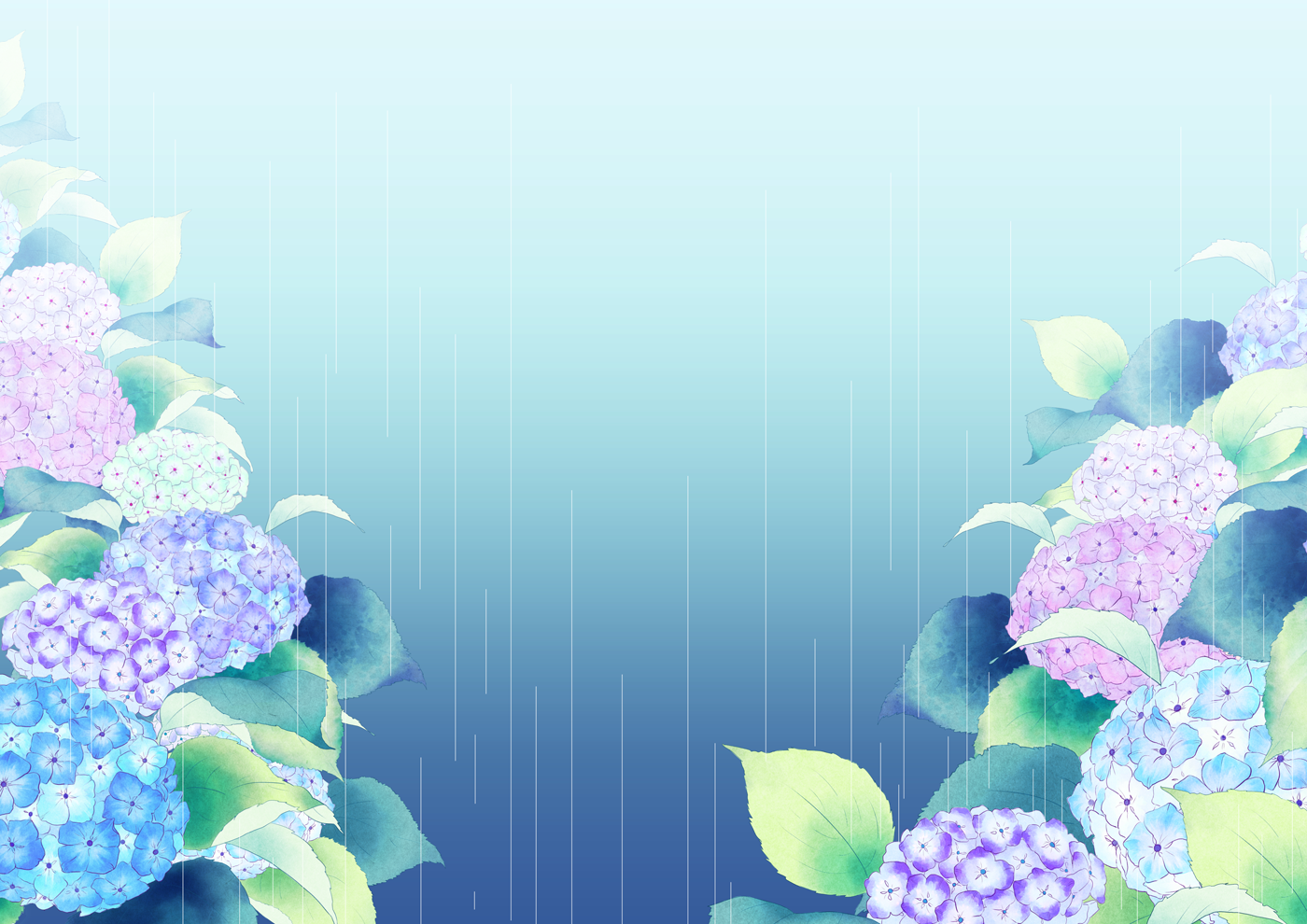 the image features hydrangea flowers in full bloom on both sides with a bluetoned rainy background in the middle. the hydrangeas are in various shades of blue and purple.