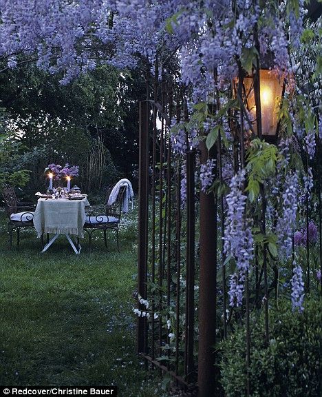 an image of a romantic dinner setting for two at dusk. the table is set with a white tablecloth, flowers, candles, napkins, and place settings. there is a wrought iron gate covered in purple wisteria flowers on the right side of the image with an antique lantern hanging from it.