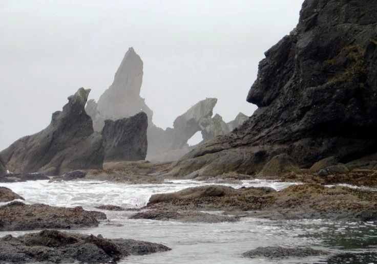 a coastal landscape features prominent dark rock formations jutting out of the sea along a rocky shoreline. the scene is shrouded in fog, creating a muted gray atmosphere. jagged sea stacks rise from the ocean, while the tide washes over the rocks, generating white waves.