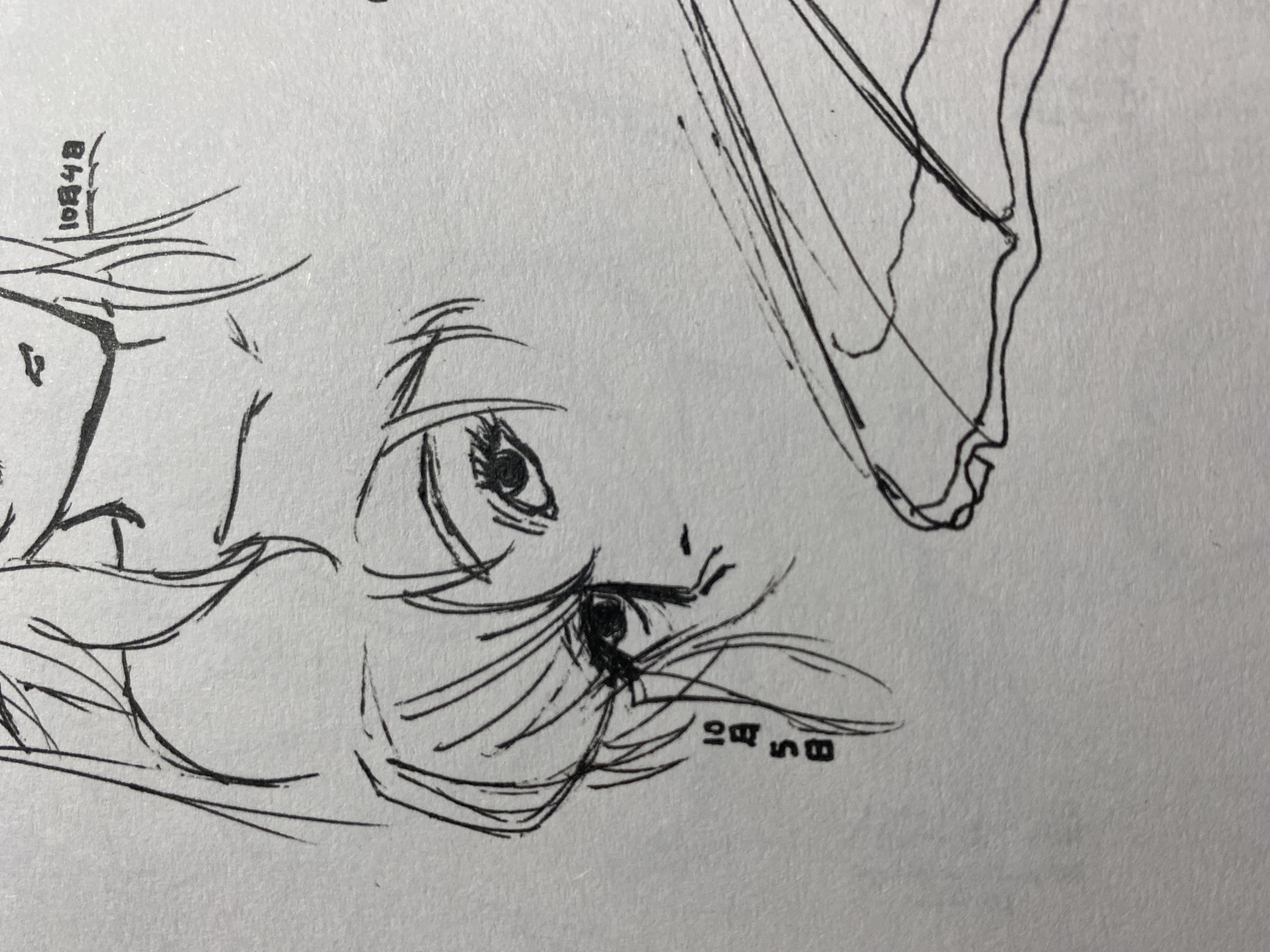 the image shows a collection of ink sketches, predominantly focused on female faces in an anime/manga style.  the drawings are done with fine lines, emphasizing the hair and facial features.  there are two main female faces featured, one partially obscured by another at the top of the image. a third sketch appears to be a partial drawing of a fan or similar object at the bottom.  the style is reminiscent of character design sketches, possibly from a comic book or animation. the sketches appear to be unfinished, with some lines appearing as quick notes rather than fully rendered detail. there are numbers visible in the image, potentially date notations or similar.