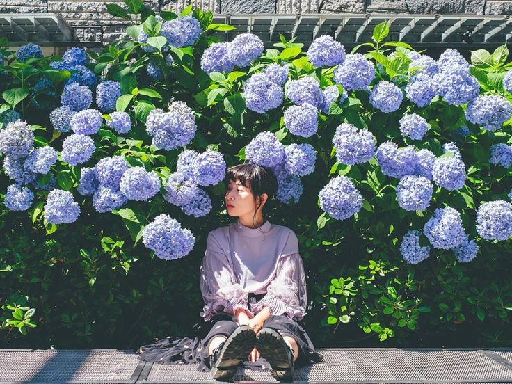 a young woman sits calmly in front of a vibrant wall of blooming hydrangeas. the flowers are various shades of purple and blue, creating a stunning backdrop. the woman is dressed in a light purple longsleeved shirt and dark pants, her feet clad in dark boots. she appears relaxed and peaceful, enjoying the serene atmosphere of the garden.  the sun illuminates the scene, adding to the overall beauty and vibrancy of the image.  the background shows a stone wall and a metal mesh floor.