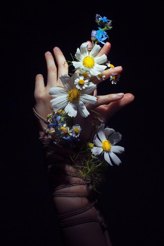 a closeup shot reveals a person's hand delicately entwined with wildflowers, bound by rope against a stark black backdrop. the contrast between the soft petals and the rough texture of the rope creates a striking visual narrative. the composition suggests themes of beauty, nature, restraint, and vulnerability. the lighting highlights the details of both the flowers and the hand, creating a sense of depth and drama. the image's overall aesthetic is artistic and evocative, leaving the viewer to interpret its deeper meaning.