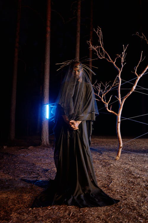 a mysterious figure, possibly a woman, stands in a dark forest at night. she is dressed in a long, flowing black dress and a veil that covers her face, leaving only her eyes visible. she wears a crownlike headpiece of twigs or similar material. a bare, dead tree stands behind her, and a faint blue light illuminates a portion of the background. the overall mood is dark, mysterious, and slightly spooky. the image is well composed and the figure's attire and surroundings create a sense of intrigue and otherworldliness.